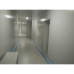 滄州空氣凈化,山東康德萊凈化,空氣凈化工程_工程承包_第一槍